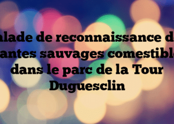 Balade de reconnaissance des plantes sauvages comestibles dans le parc de la Tour Duguesclin